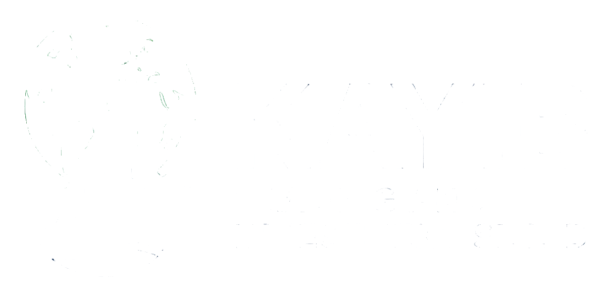 KAYIB Trading & Investment SL Ltd logo